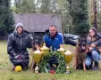 Немска овчарка кученца, снимка 8