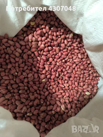 Български Фъстъци , снимка 2 - Домашни продукти - 56677759