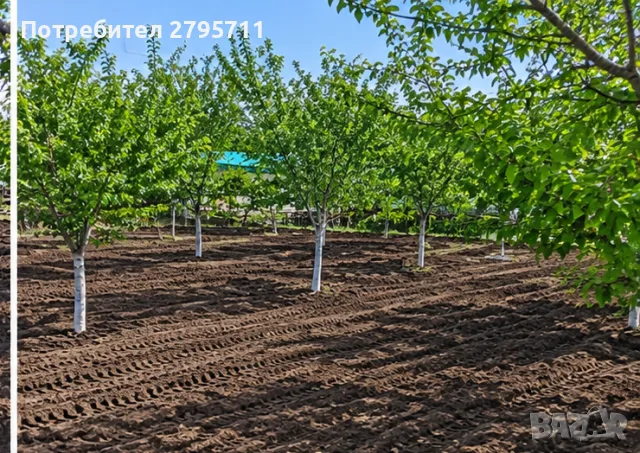 Продавам парцел в Слънчева лъка Айтос , снимка 7 - Парцели - 55210752