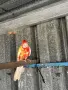 По договаряне! Розели, снимка 2