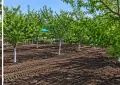 Продавам парцел в Слънчева лъка Айтос , снимка 7