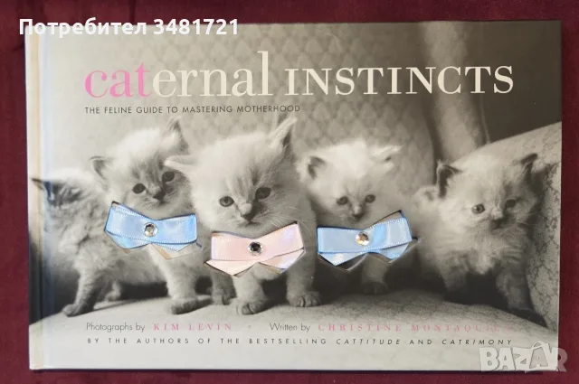 Cattitude Box Set, снимка 12 - Други - 56715704