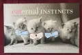 Cattitude Box Set, снимка 12