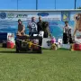 Кавказка Овчарка , снимка 4