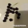 дървени копчета и мъниста, снимка 3