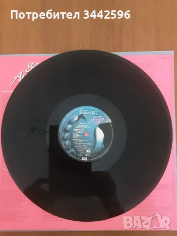 Scorpions savage amusement, снимка 5 - Грамофонни плочи - 56579104