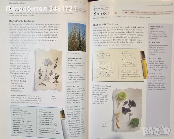 The Illustrated Encyclopedia of Essential Oils, снимка 8 - Здраве, медицина и спорт - 56715727