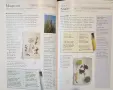 The Illustrated Encyclopedia of Essential Oils, снимка 8