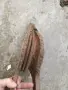 Старо духало за камина/печка, снимка 2