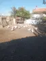 Продавам Неми патици , снимка 1