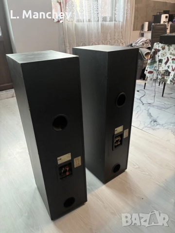 Тонколони ELAC ELT 10 , снимка 3 - Тонколони - 56673192