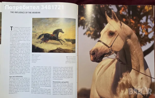 Encyclopedia of the Horse, снимка 7 - Други - 56715711