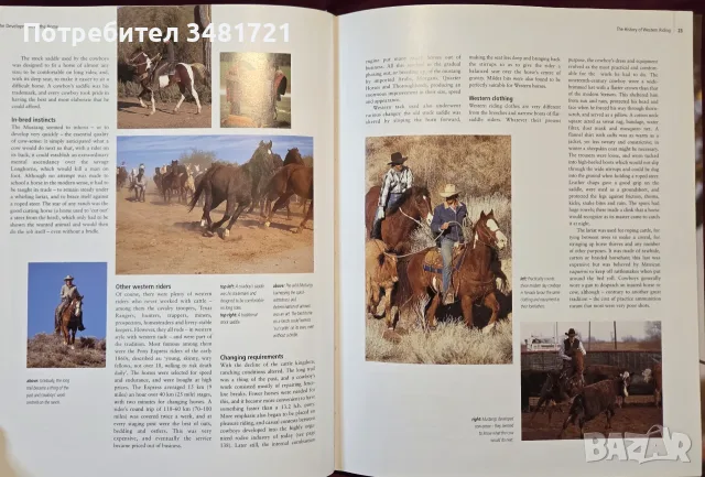 Encyclopedia of the Horse, снимка 6 - Други - 56715711