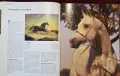 Encyclopedia of the Horse, снимка 7