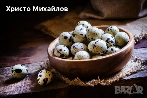 Пъдпъдъчи яйца .