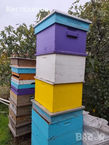 продавам кошери