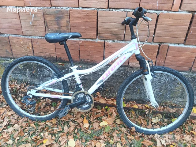 Drag 24" Велосипед