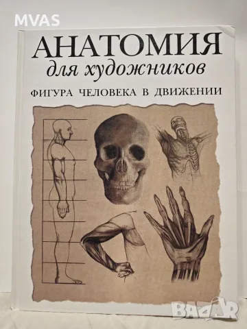 Нова Анатомия за художници Фигура на човека в движение Книга за рисуване
