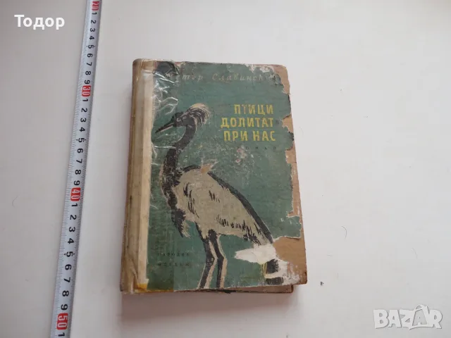 Книга Птици долитат при нас Славински 