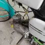 Балкан 50 /мотопед, снимка 4