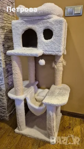Котешка драскалка