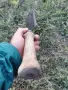 peter WALLBRECHER маркиран стар немски сатър, снимка 9
