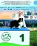 шелти кученца продажба, снимка 12