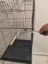 голяма клетка за птици, снимка 9