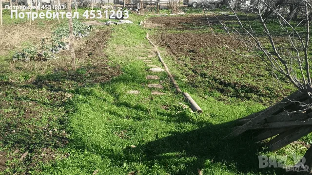 ВИЛА С ЛОЗЕ И ОВОШКИ, снимка 3 - Вили - 56609126