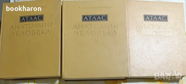 Синелников: Атлас анатомии человека 1-3
