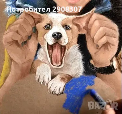 Рисуване на домашни любимци