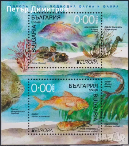Чист блок Европа СЕПТ Риби 2024 от България 