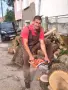 рязане на дърва Луковит , снимка 1