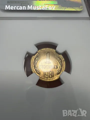 1 стотинка 1981година NGC MS 63, снимка 2 - Нумизматика и бонистика - 56716026