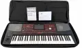 Професионален Аранжор Korg PA700  , снимка 1
