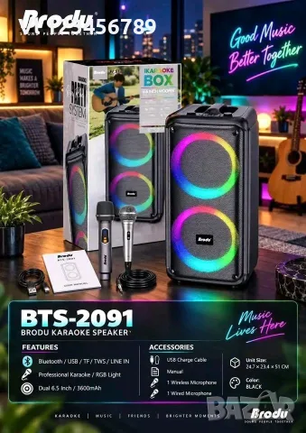 Безжична акумулаторна Bt караоке 2х6,5" тонколонка Brodu BTS-2091