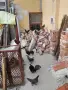 декоративни Розкомб, снимка 2