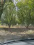 Продавам орехова градина, снимка 4