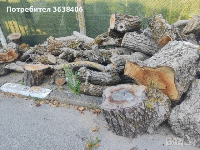 Продава орехово дърво, снимка 4 - Дърва за огрев - 56698446