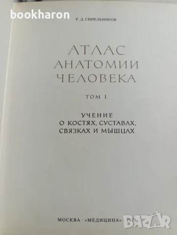 Синелников: Атлас анатомии человека 1-3, снимка 2 - Специализирана литература - 56728769