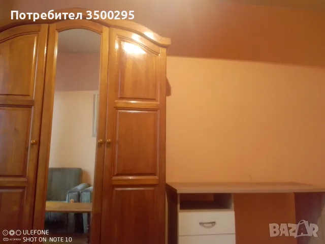 стая под наем до НДК, снимка 3 - Стаи под наем - 56577631