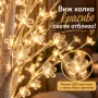 Декоративна дръвче, снимка 2