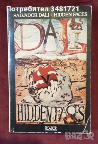 Salvador Dali: Hidden Faces