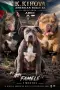 Американско були Хл American bully Xl , снимка 1
