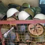 оригинални войнишки каски , снимка 2