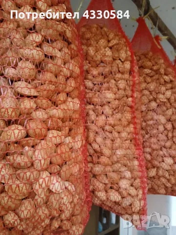 Бадеми с черупка , снимка 2 - Домашни продукти - 56729532