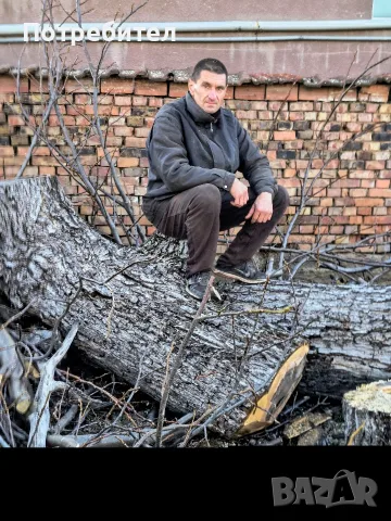 рязане на дърва Луковит , снимка 6 - Други услуги - 56714755