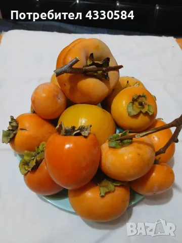 Плодове танинови райски ябълки., снимка 2 - Други - 56729539