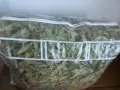 Сух липов цвят.., снимка 2