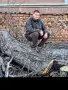 рязане на дърва Луковит , снимка 6